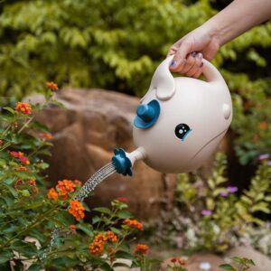 Smart mini size watering pot
