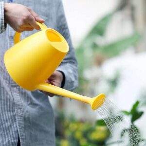 Plant watering pot