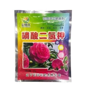 Rose flower seed