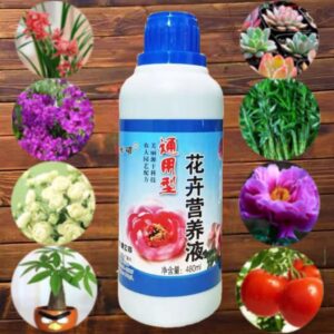 Multi types Flowers seeds